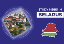 Top 5 Disadvantages of Studying MBBS in Belarus in 2024 for Indian Students